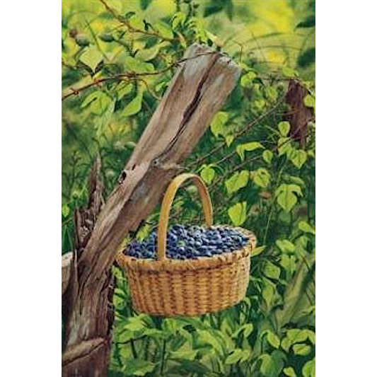Blueberries