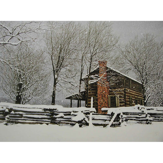 Snow at the Studio